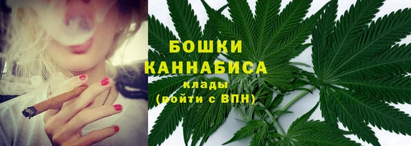 МДПВ Нефтегорск
