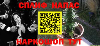 ECSTASY Балаково