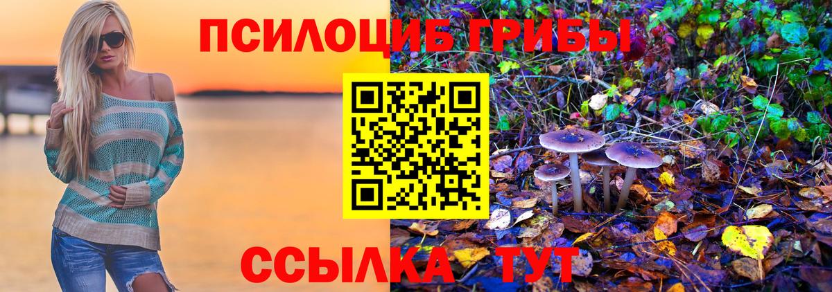 Псилоцибиновые грибы Magic Shrooms  Галлюциногенные грибы Magic Shrooms  Волгоград  Вход с VPN 