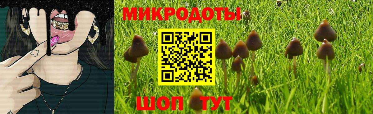 Галлюциногенные грибы Magic Shrooms  Волгоград 